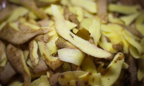 आलू के छिलके से कंपोस्ट बनाने का सरल तरीका : Compost From Potato Peels
