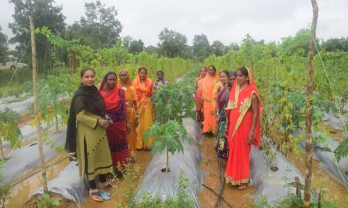 मूह की महिलाएं मल्चिंग विधि से कर रही सब्जी की खेती