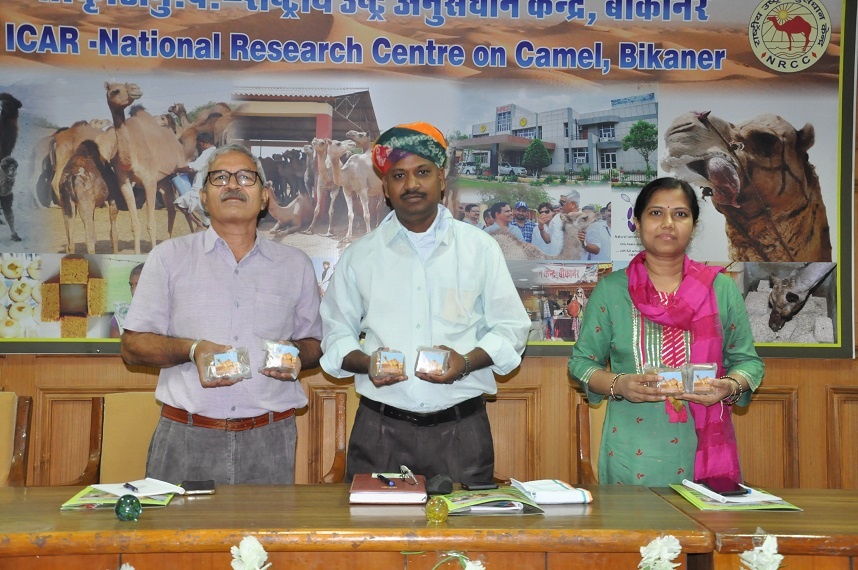 Camel milk and millet mixed new milk product released